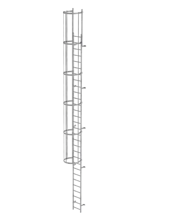 Einzügige Steigleiter mit Rückenschutz, Edelstahl, Steighöhe 4,76 m