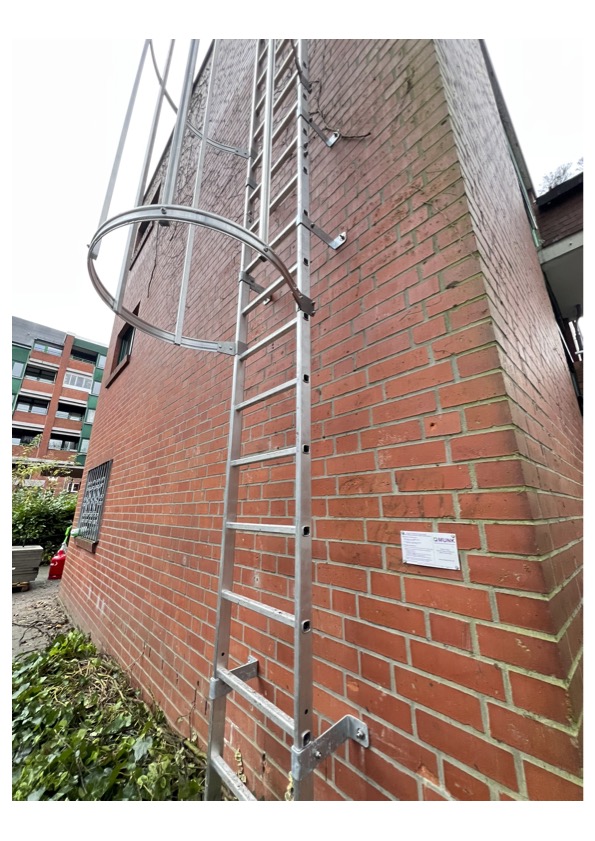 Einzügige Steigleiter mit Rückenschutz, Aluminium blank, Steighöhe 4,76 m