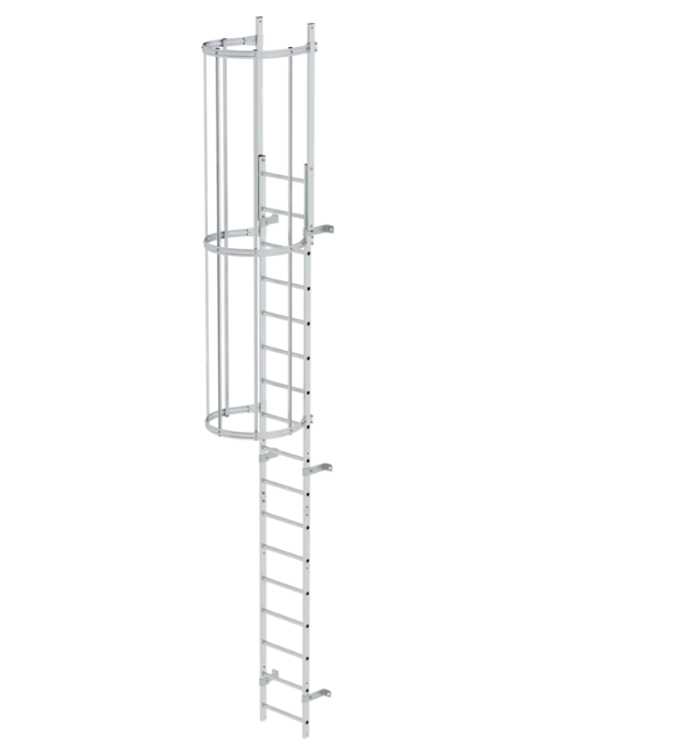Einzügige Steigleiter mit Rückenschutz, Aluminium blank, Leiterlänge 5,96 m