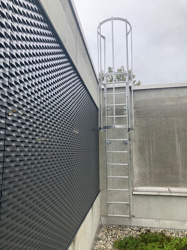 Einzügige Steigleiter mit Rückenschutz, Aluminium blank, Steighöhe 4,76 m